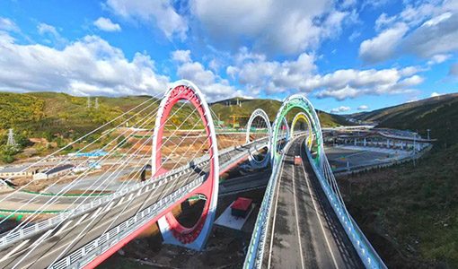 Beautiful China, Green Winter Olympics 丨 3TREES Helps Build Yanqing-Chongli Green Expressway
